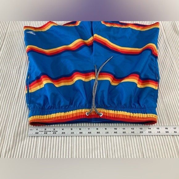 Speedo Men’s M Blue Multicolor Stripe Swim Trunks Quick Dry Beach Brief Liner - Picture 6 of 8